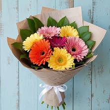 Букет цветов из:  Герберы #REPLACE_PRED# Краснофлотском