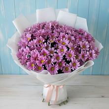 Букет цветов из:  Хризантемы в Краснофлотском