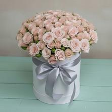 Цветочная композиция из Розы в шляпной коробке в Краснофлотском