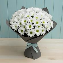 Букет цветов из:  Хризантемы в Краснофлотском