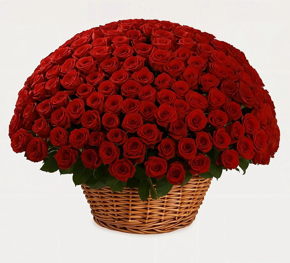 Премиум букет из: Розы в Краснофлотском