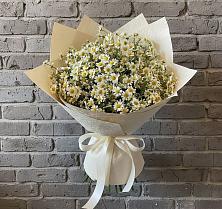 Букет цветов из:  Ромашки в Краснофлотском