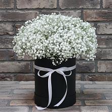 Цветочная композиция из Гипсофила в шляпной коробке в Краснофлотском