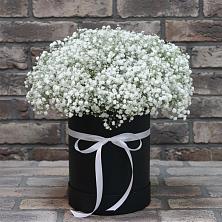 Цветочная композиция из Гипсофила в шляпной коробке в Краснофлотском